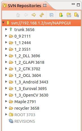 SVN Repositories tab inside Eclipse, with valid content.