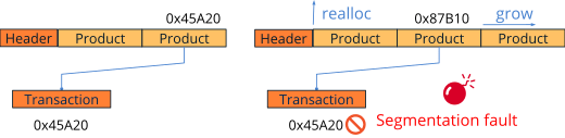 Segmentation fault error when relocating the memory block that stores the array.