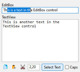 Edit box with selected text.